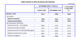 AFACERILE DIN ROMANIA, PE PLUS – Domeniile in care se fac bani. Situatia din ultimul an (Document)