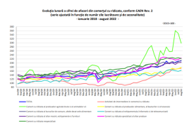 COMERTUL EN-GROSS IN ROMANIA, IN CRESTERE – Domeniile in care s-au facut bani (Document)