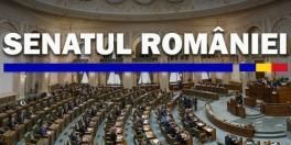 Cresterea salariilor cu 1.000 lei: senatorii au decis cine sunt romanii care vor beneficia de majorare (Document)