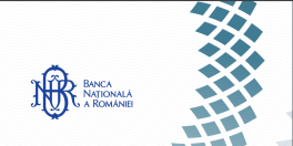 Finantarea companiilor din Romania: analiza Bancii Nationale (Document)
