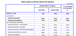 INDUSTRIA ROMANIEI: CIFRA DE AFACERI – Raportul Institutului National de Statistica (Document)