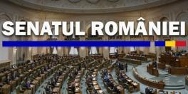 Legea salariului minim, adoptata in Senat (Document)