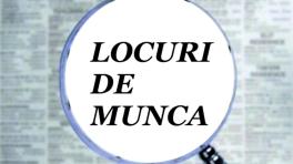 OFERTA DE VARA – Locurile de munca disponibile in iulie