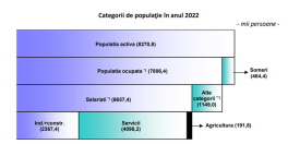 PESTE 400.000 DE SOMERI IN 2022 - Rata de ocupare a populatiei in varsta de munca a fost de 63,1% (Document)