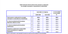 Raport pe afacerile din Romania (Document)