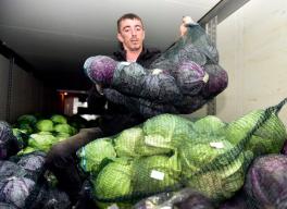STATUL VINDE MARFA PRODUCATORILOR ROMANI – Casa Unirea, livrare de 13 tone de legume. Iata unde au ajuns produsele