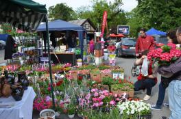 ZILELE HORTICULTURII BUCURESTENE - 13-16 mai, USAMV Bucuresti