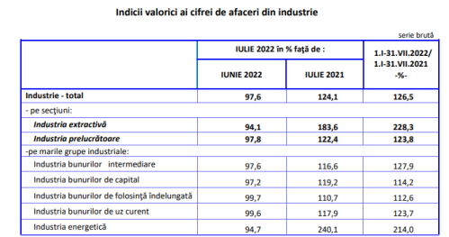 INDUSTRIA ROMANIEI: RAPORT – Bilantul oficial (Document)