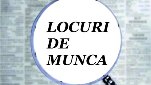 Se cauta forta de munca