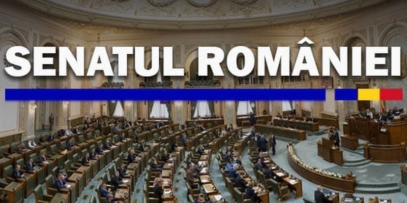 Legea salariului minim, adoptata in Senat (Document)