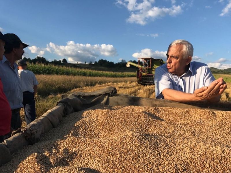 VINE CRIZA ALIMENTARA – Fostul ministru al Agriculturii Petre Daea trage semnalul de alarma: “Dificultati in aprovizionarea populatiei cu hrana”